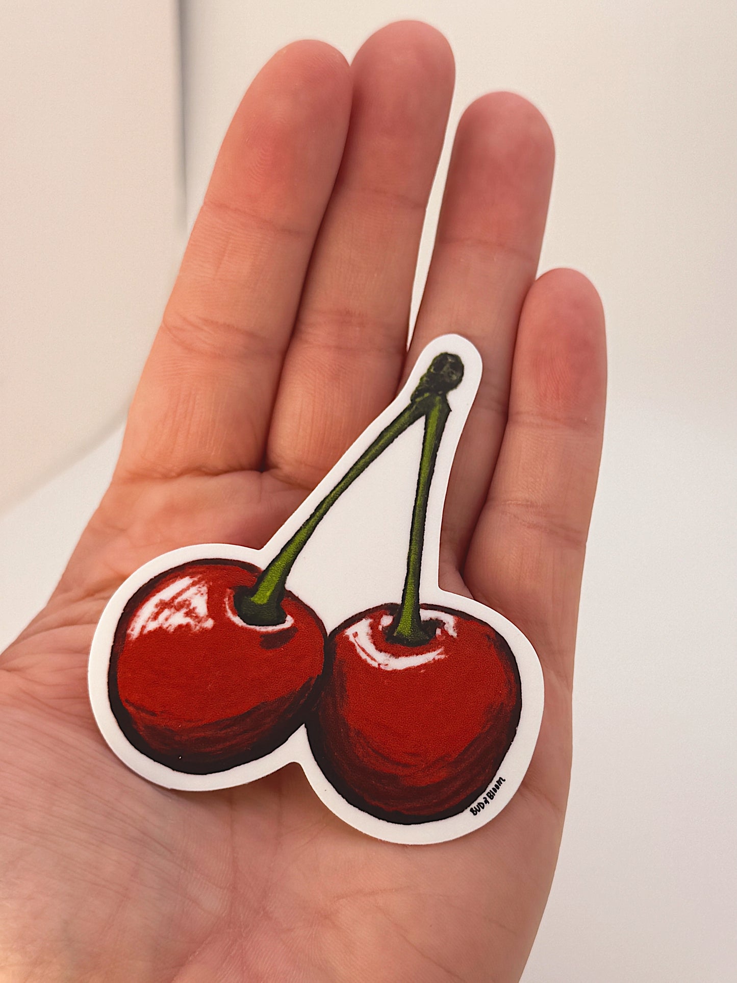 Cherry Duo Vinyl Sticker | Cute Red Cherry Sticker for Water Bottles, Laptops & Journals