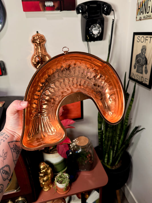 Vintage Copper Fish Mold Wall Decor – Sardine / Kitchen Mold