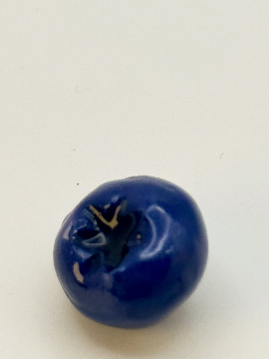 Blueberry — Handmade Polymer Clay Fridge Magnets