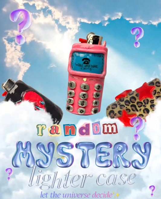 Random MYSTERY Lighter Case
