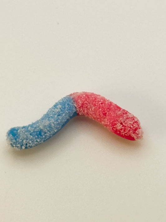 Pink & Blue Sour Gummy Worm — Handmade Polymer Clay Fridge Magnets