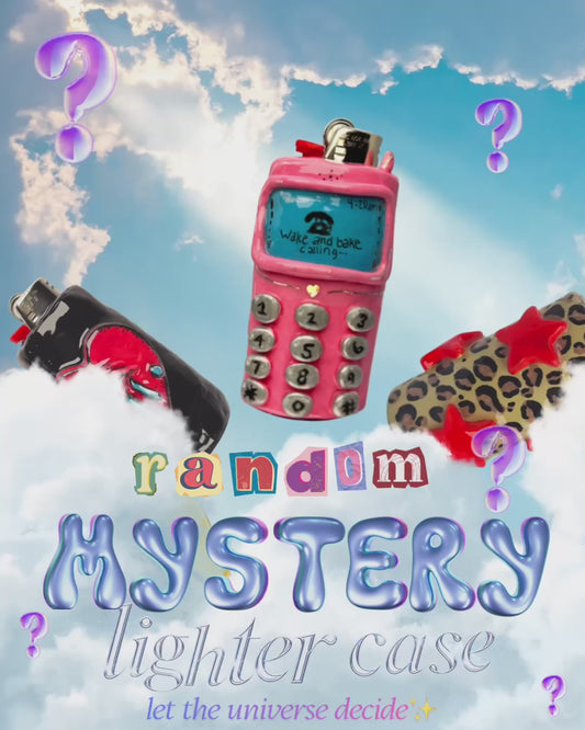 Random MYSTERY Lighter Case